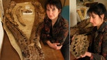 Ancient creatures resembling stout-necked Loch Ness Monsters apparently developed arthritis in their monster jaws, revealing that even such lethal killers could suffer from and eventually succumb to diseases of old age, researchers find.